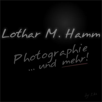logo04-lmh.jpg