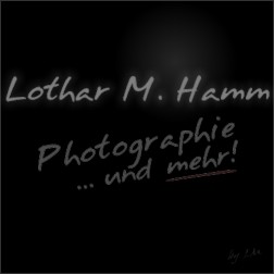 logo04-lmh_impres.jpg